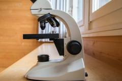 naturschule-raeumlichkeiten-mikroskop-unterricht