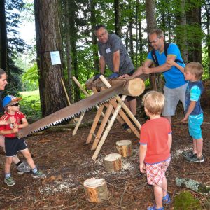 In der Gruppe zersägen Lehrer mit Kindern einen Baumstamm im Wald